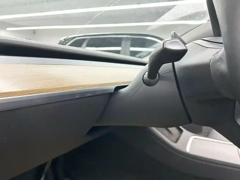 Tesla Model Y 2021 из CN, фото 5