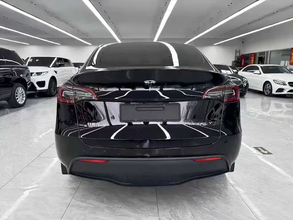 Tesla Model Y 2021 из CN, фото 8
