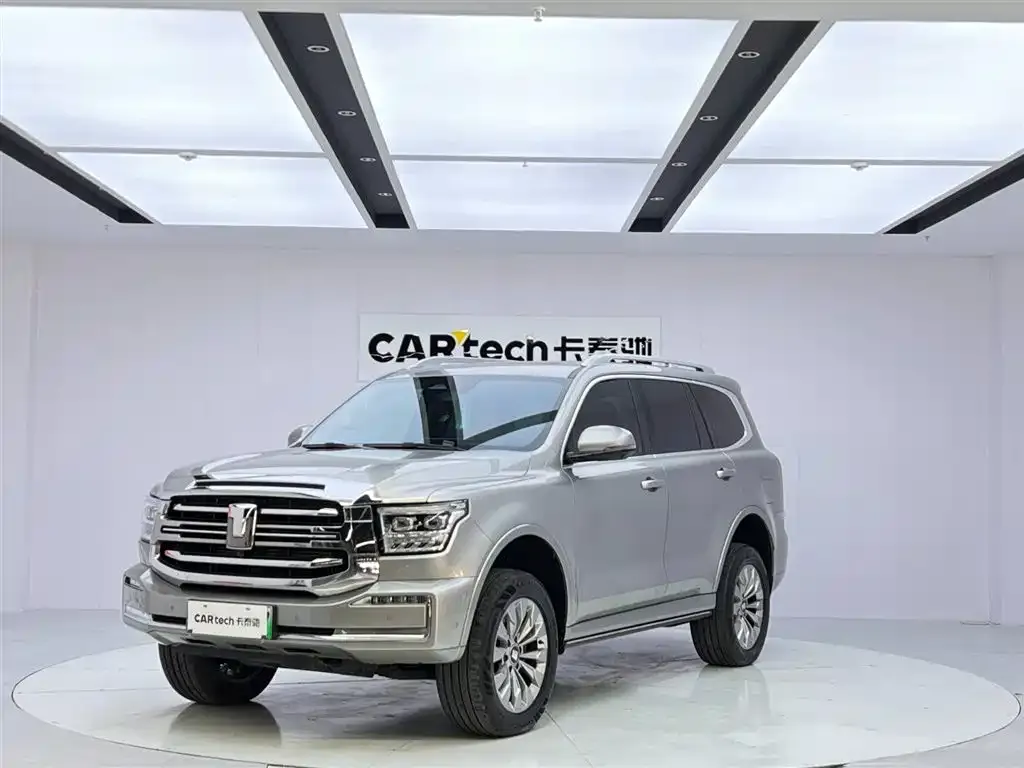 Tank 500 New Energy 2024 из CN, фото 1