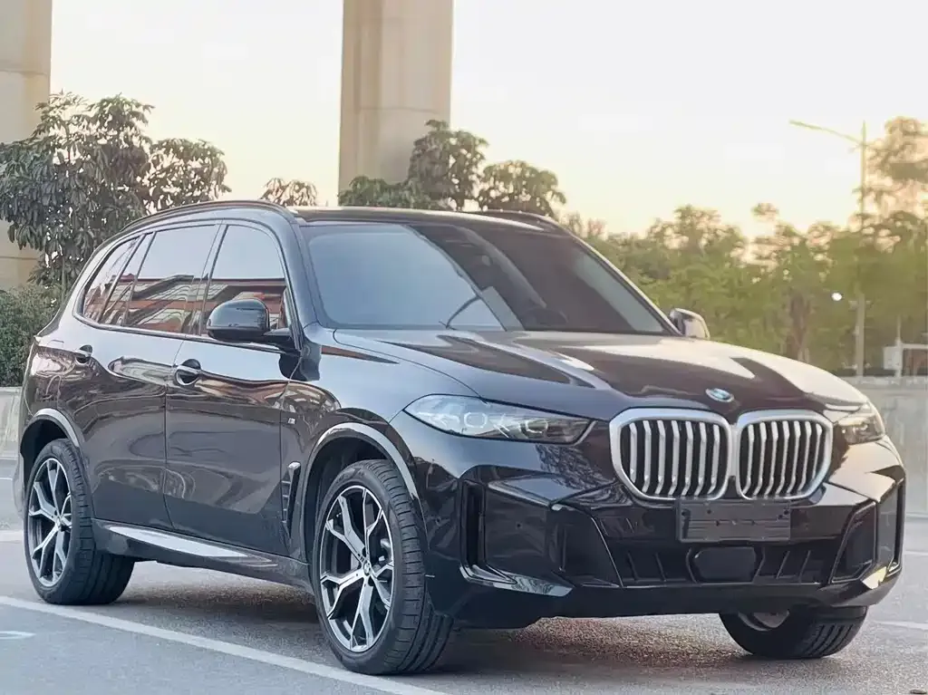 BMW X5 2024 из CN, фото 5