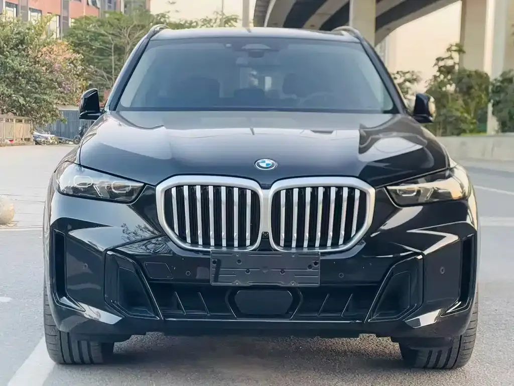 BMW X5 2024 из CN, фото 8