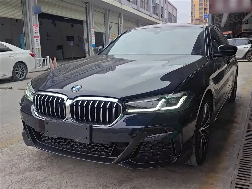 BMW 5 Series 2022 из CN, фото 6