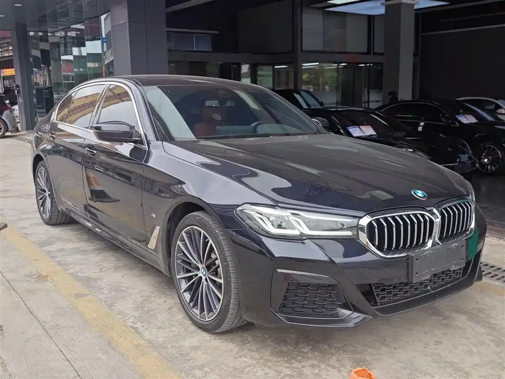 BMW 5 Series 2022 из CN, фото 8