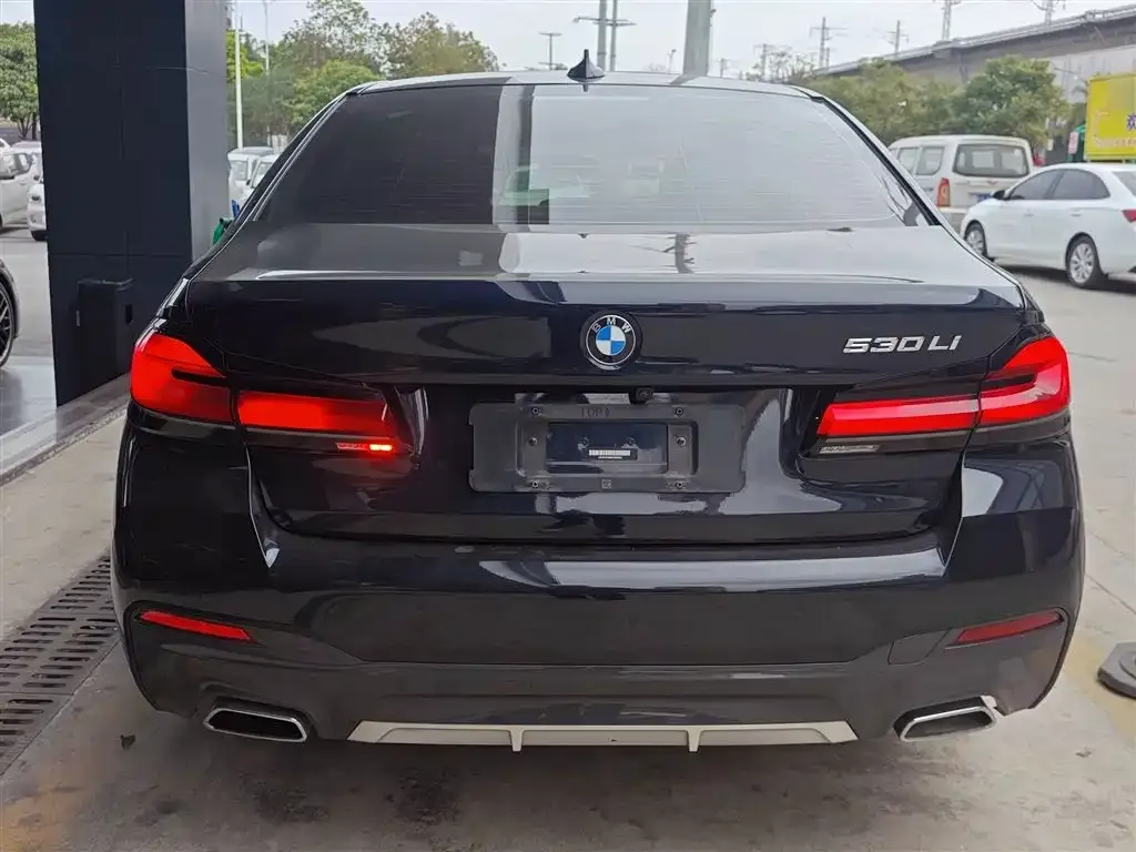 BMW 5 Series 2022 из CN, фото 4