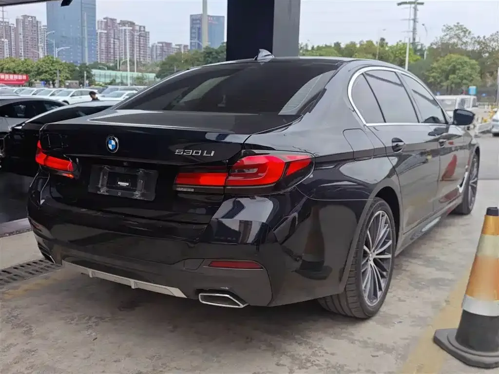 BMW 5 Series 2022 из CN, фото 5