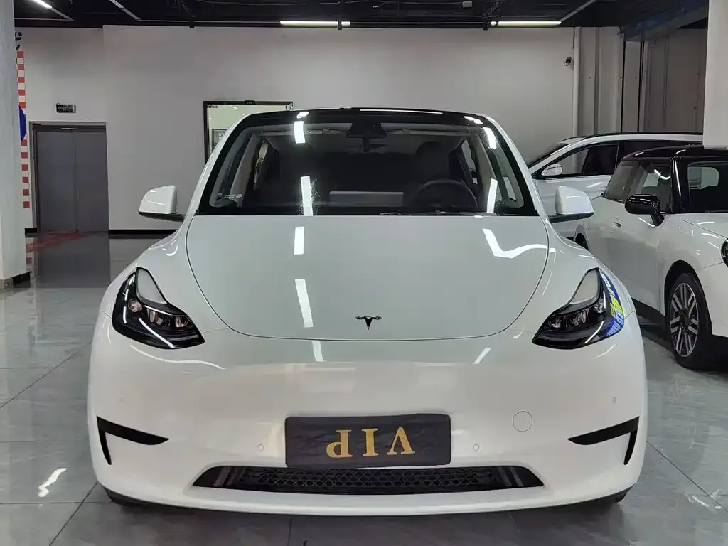 Tesla Model Y 2023 из CN, фото 6
