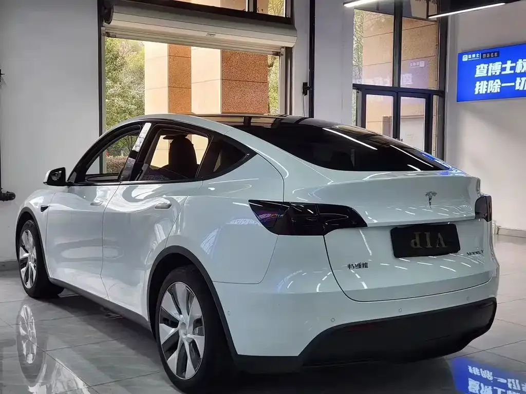 Tesla Model Y 2023 из CN, фото 5