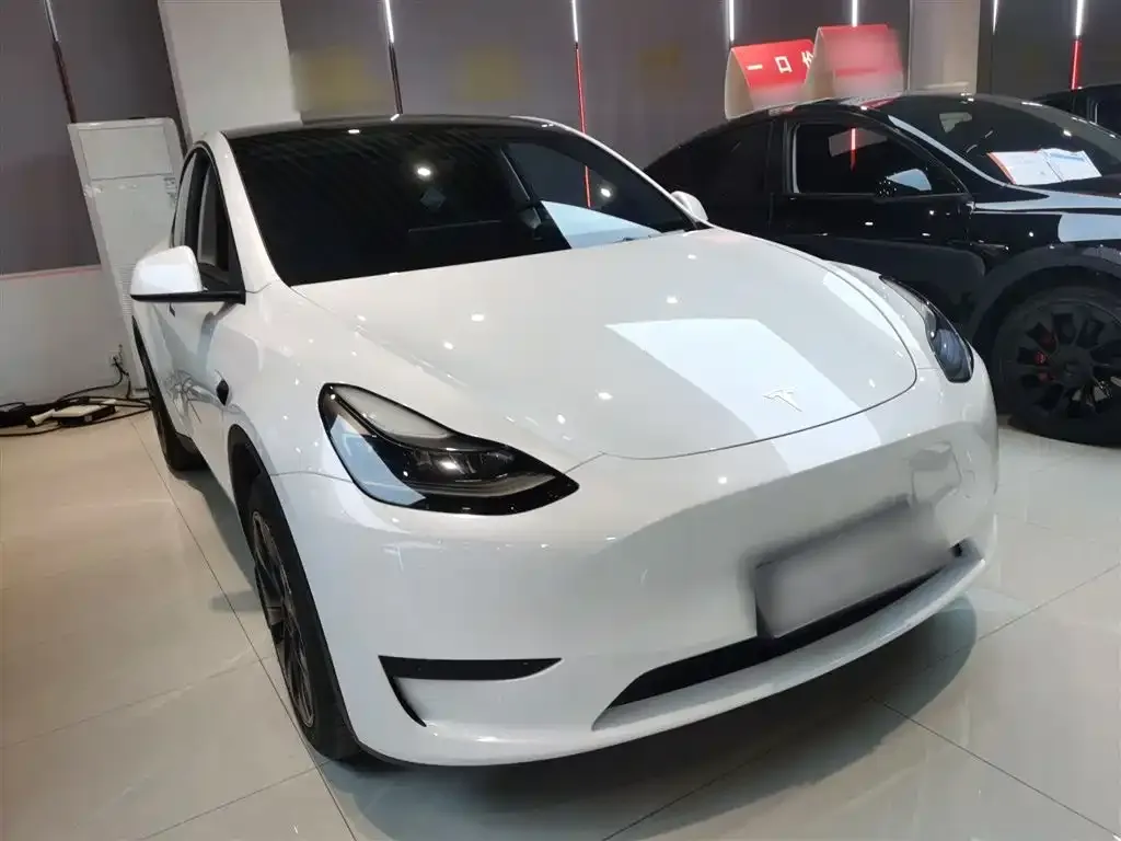 Tesla Model Y 2024 из CN, фото 6