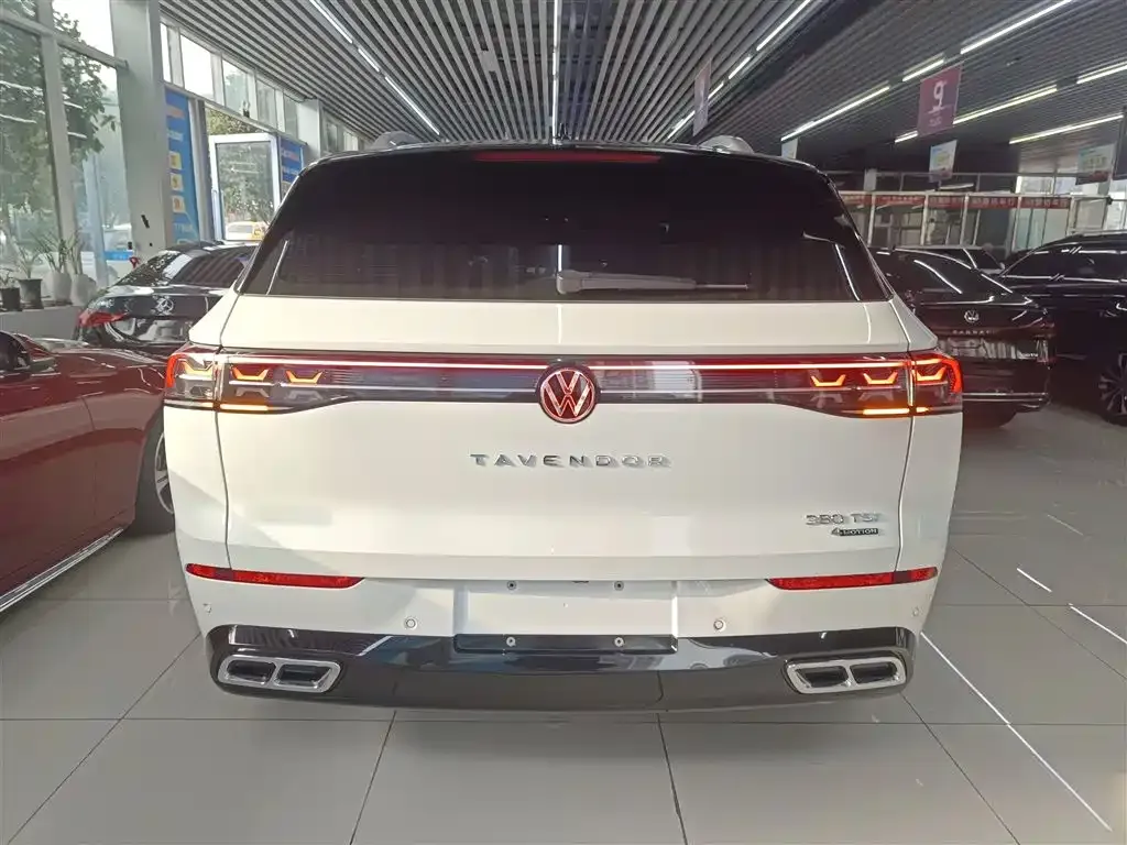 Volkswagen Tavendor 2023 из CN, фото 2