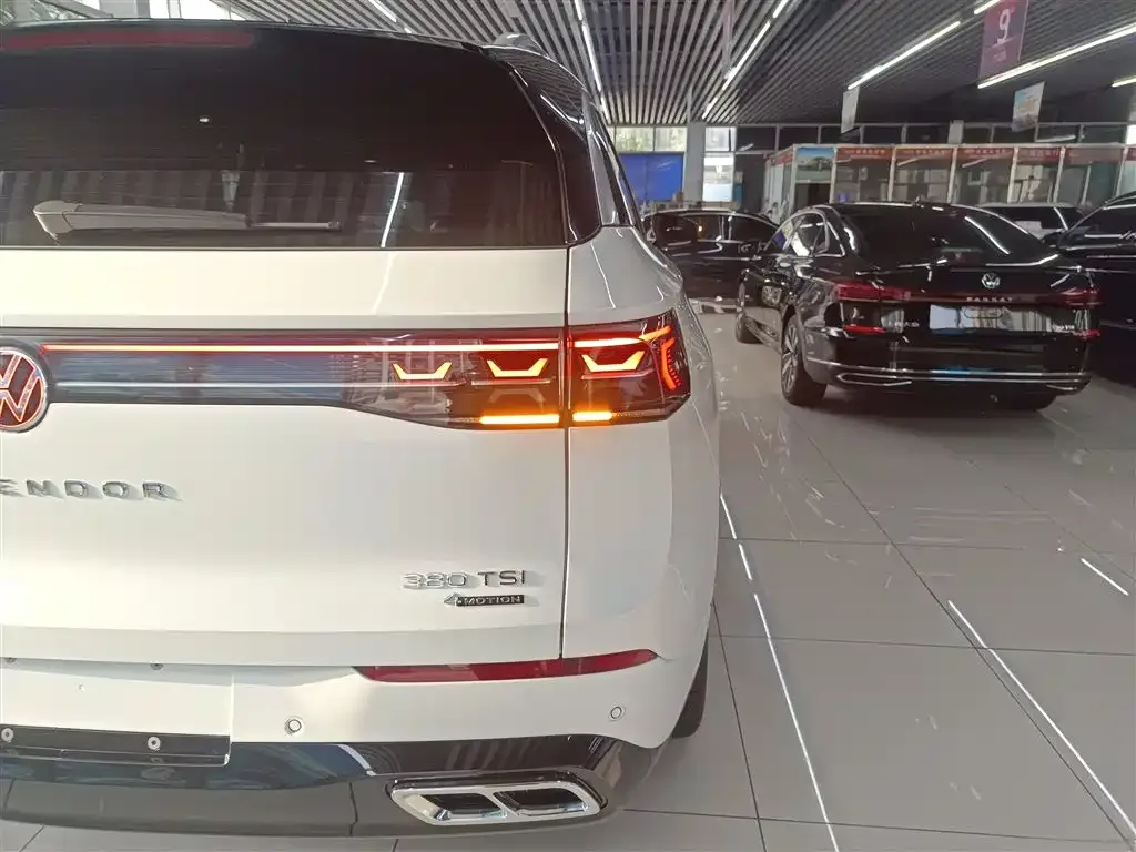 Volkswagen Tavendor 2023 из CN, фото 5