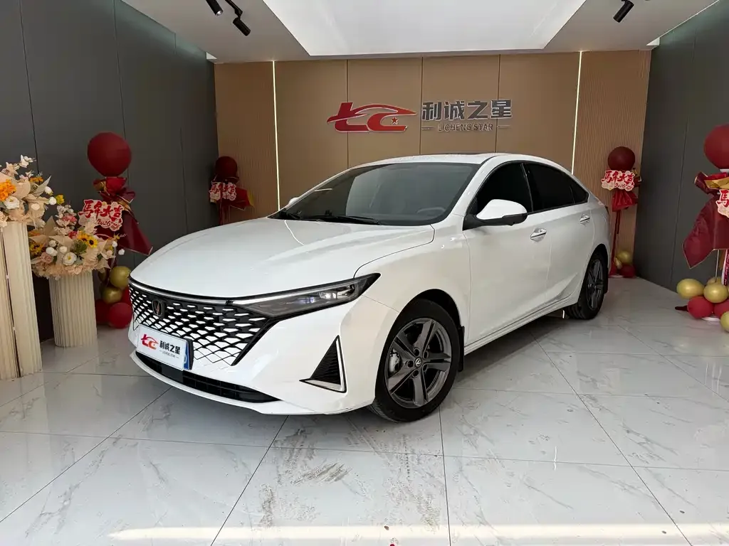 Changan Ruicheng PLUS 2023 из CN, фото 1