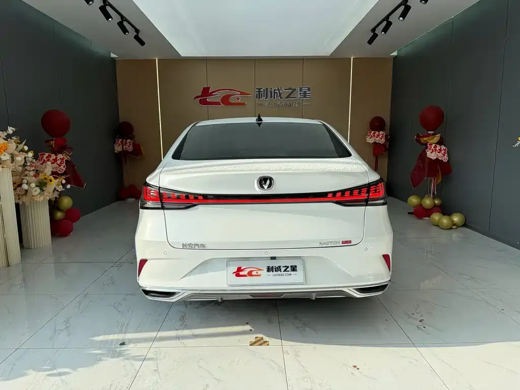 Changan Ruicheng PLUS 2023 из CN, фото 6