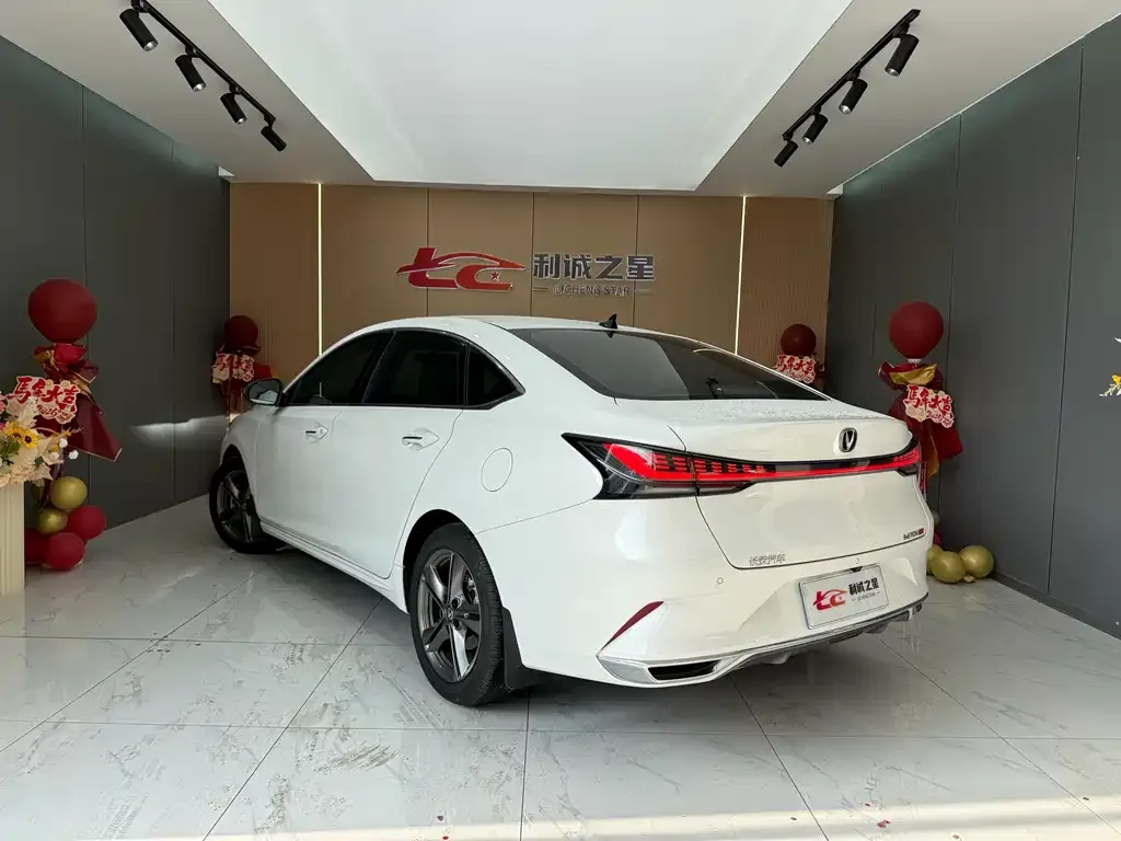 Changan Ruicheng PLUS 2023 из CN, фото 8
