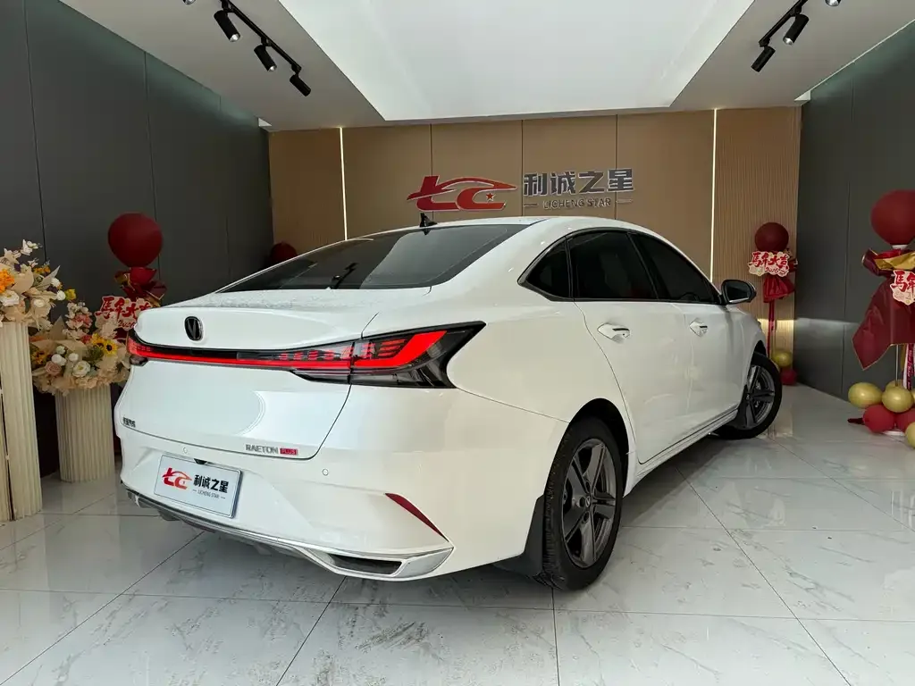 Changan Ruicheng PLUS 2023 из CN, фото 2