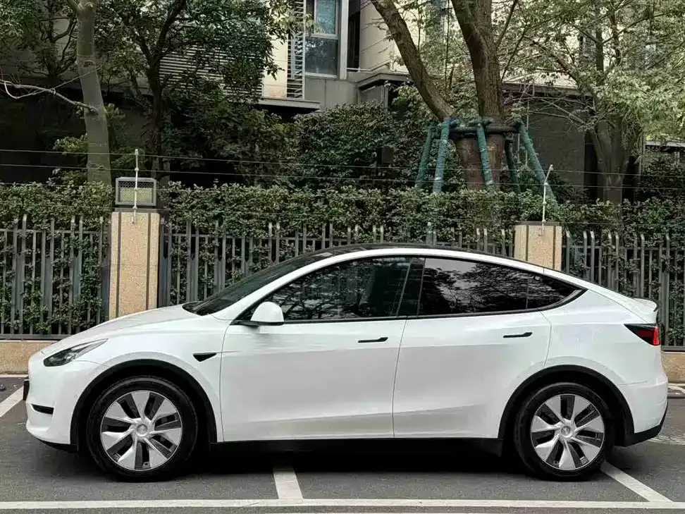 Tesla Model Y 2022 из CN, фото 6