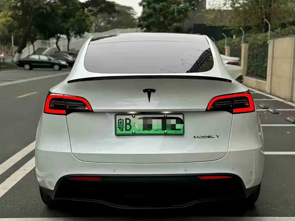 Tesla Model Y 2022 из CN, фото 4