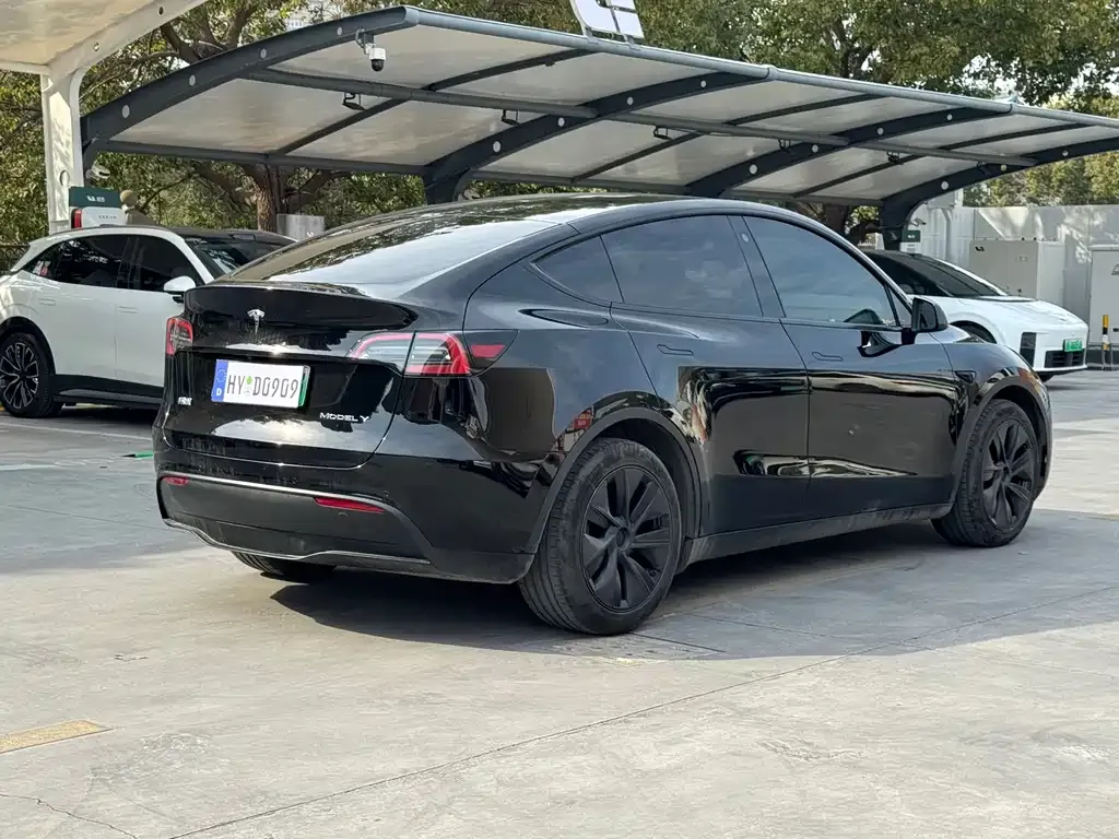 Tesla Model Y 2024 из CN, фото 6