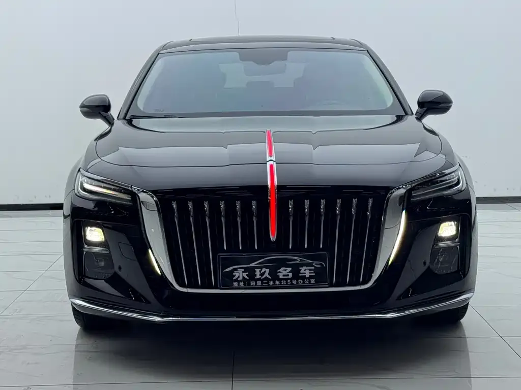 Hongqi H5 2024 из CN, фото 8