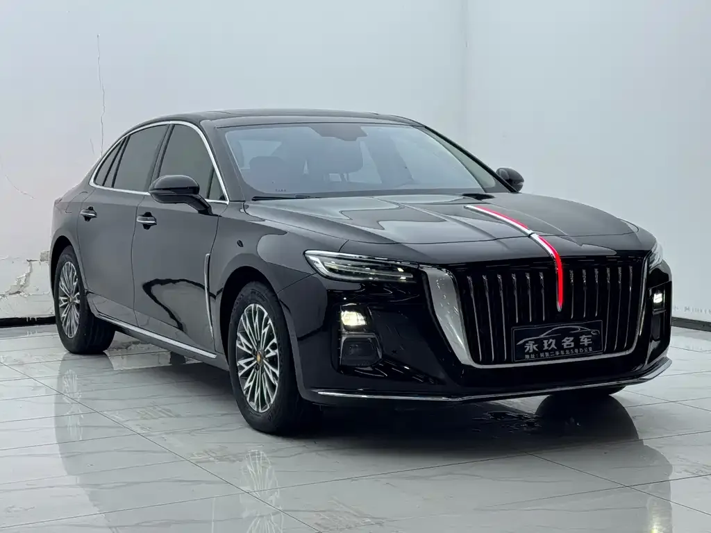 Hongqi H5 2024 из CN, фото 9