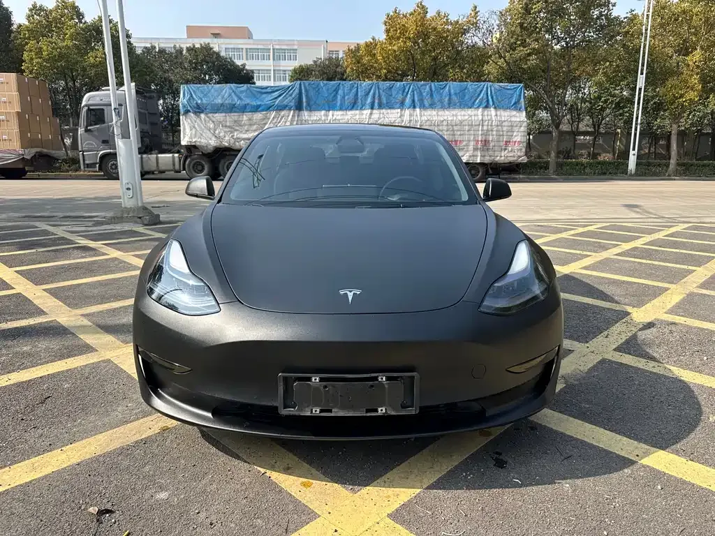 Tesla Model 3 2021 из CN, фото 1