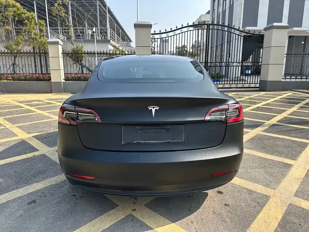 Tesla Model 3 2021 из CN, фото 5