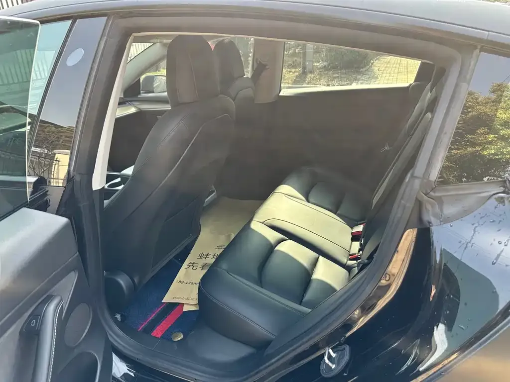 Tesla Model 3 2021 из CN, фото 2