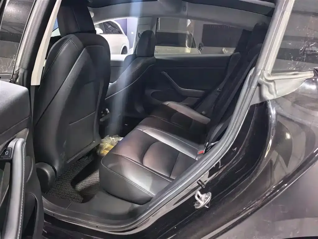 Tesla Model 3 2022 из CN, фото 5