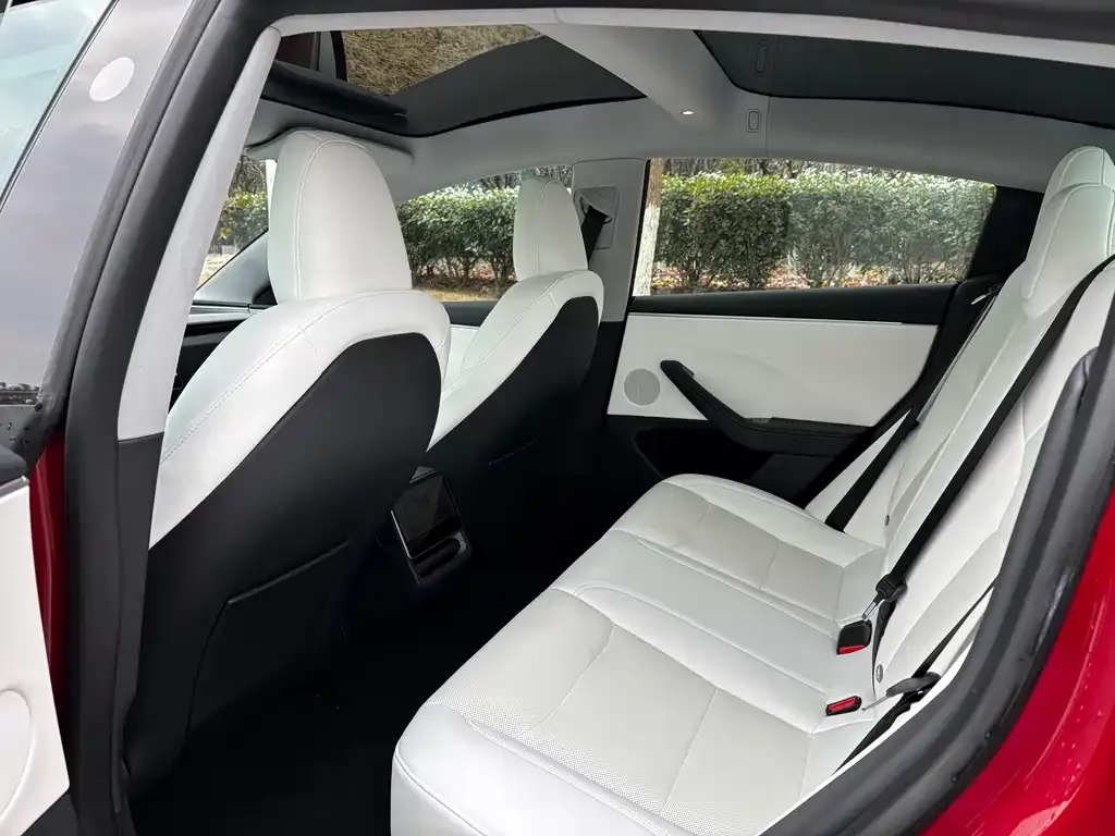 Tesla Model 3 2023 из CN, фото 3