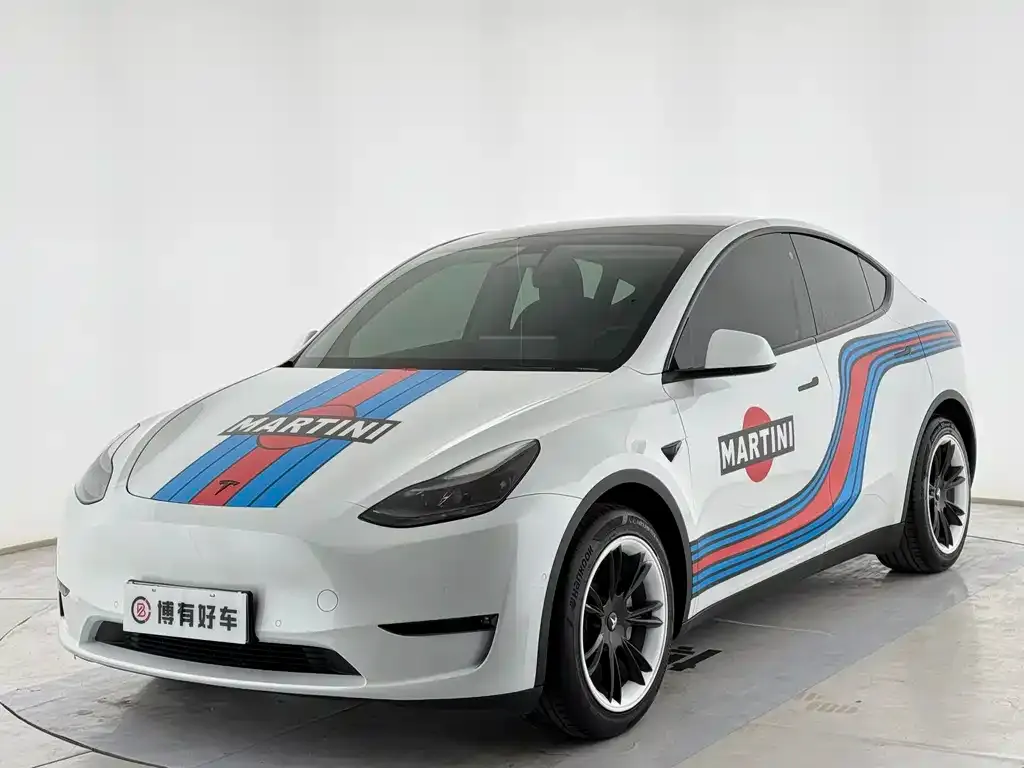 Tesla Model Y 2021 из CN, фото 1