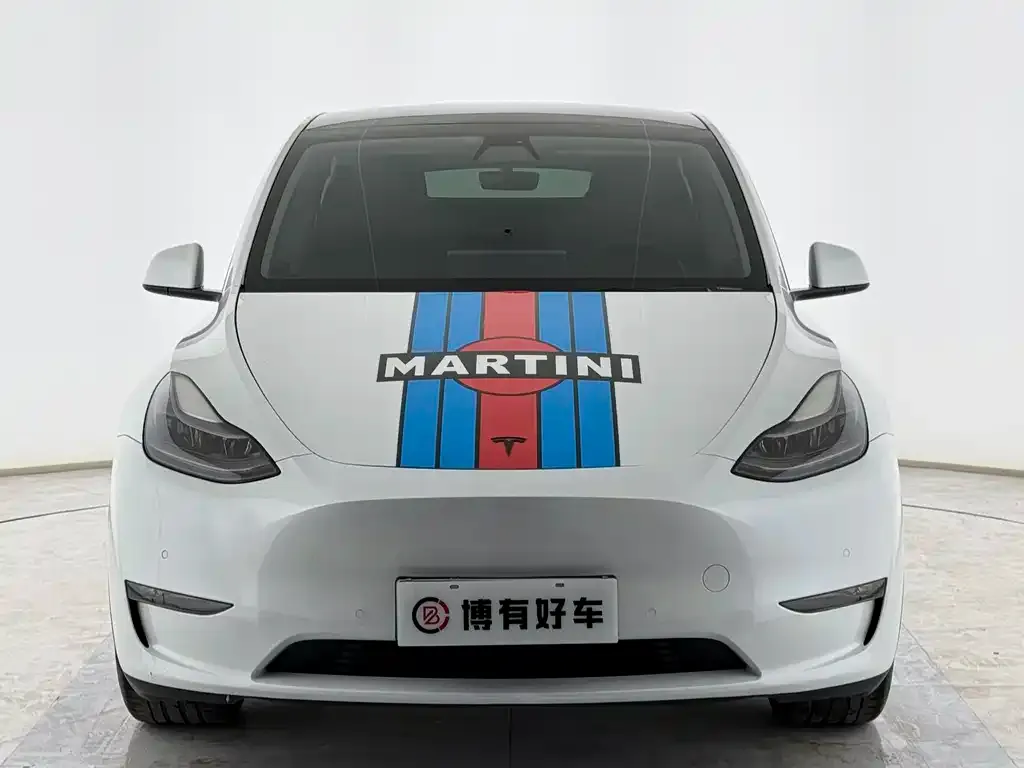 Tesla Model Y 2021 из CN, фото 4