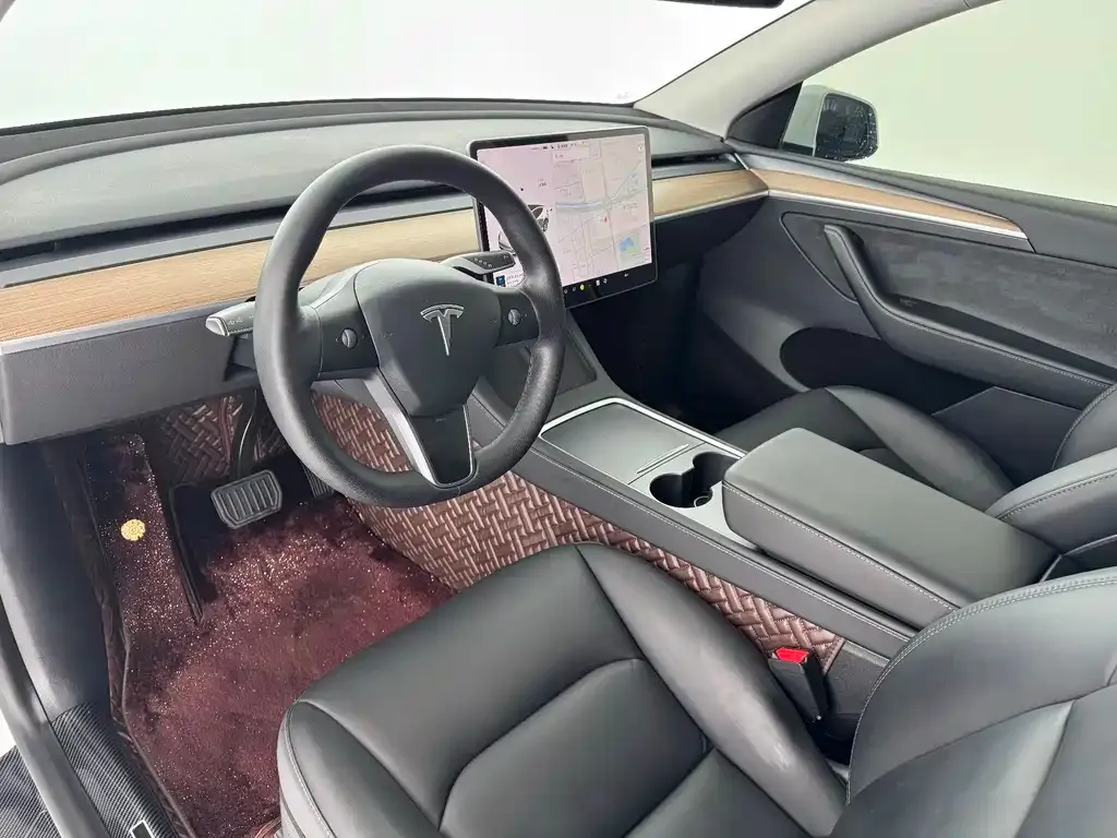 Tesla Model Y 2021 из CN, фото 8