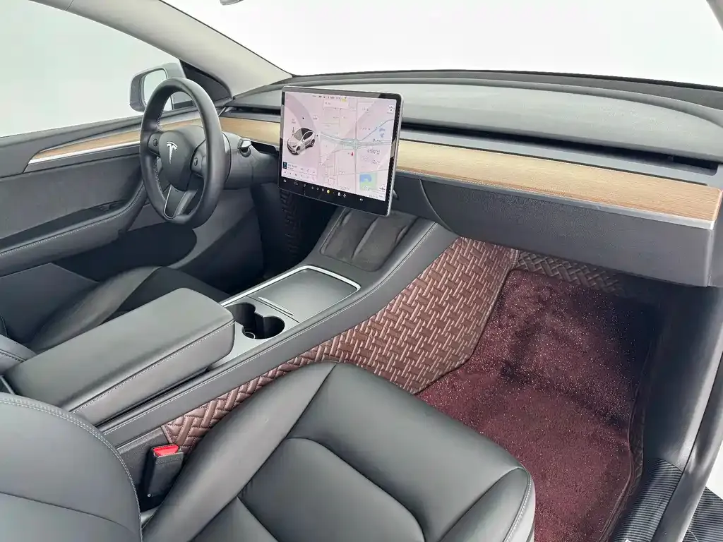 Tesla Model Y 2021 из CN, фото 2