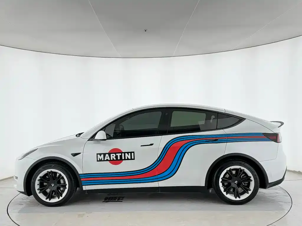 Tesla Model Y 2021 из CN, фото 9