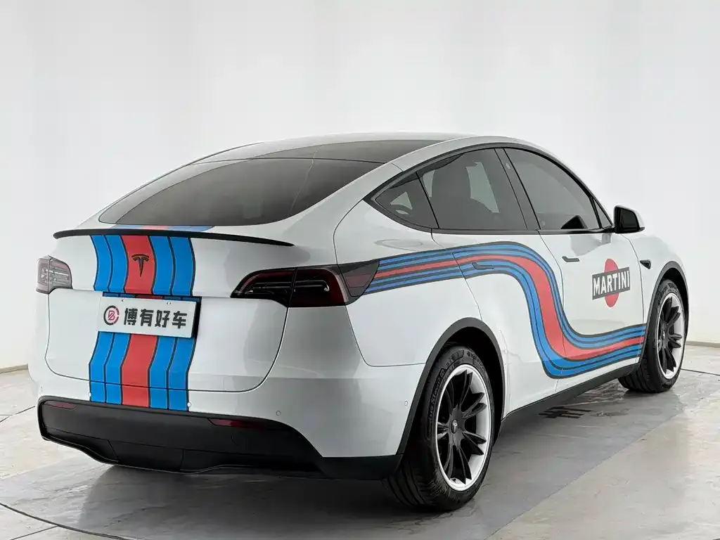 Tesla Model Y 2021 из CN, фото 7