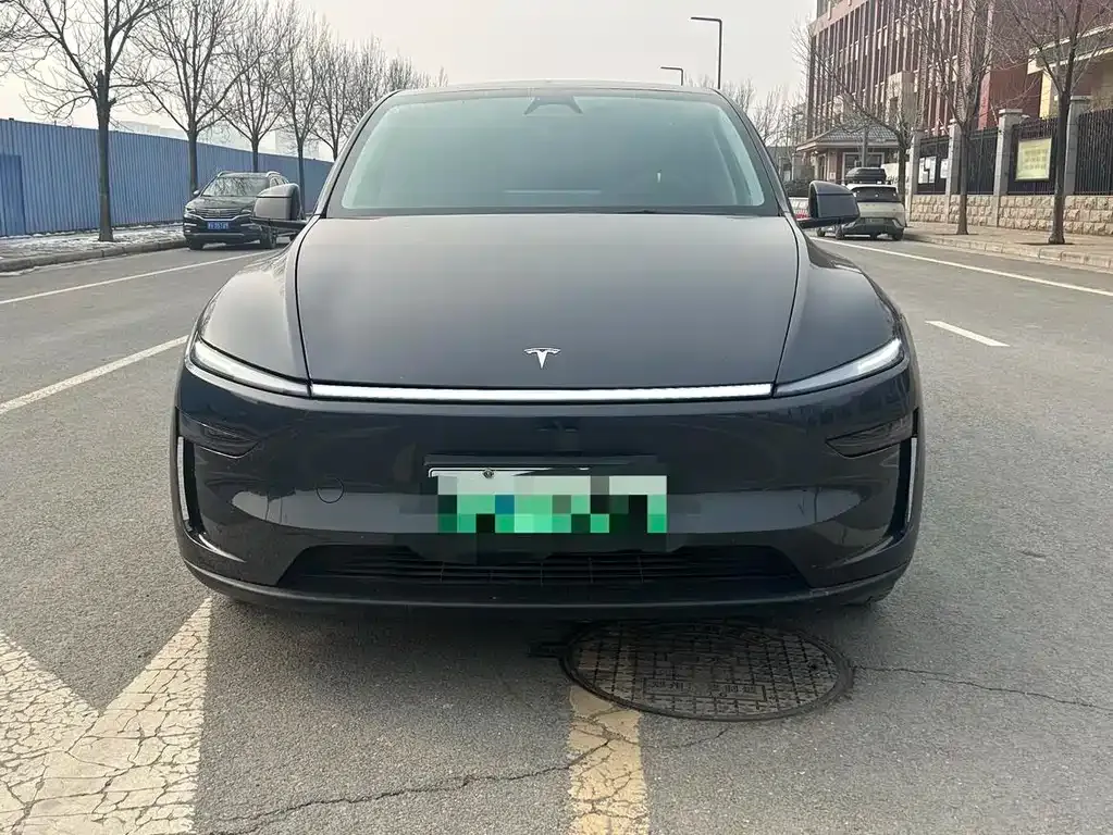 Tesla Model Y 2025 из CN, фото 4