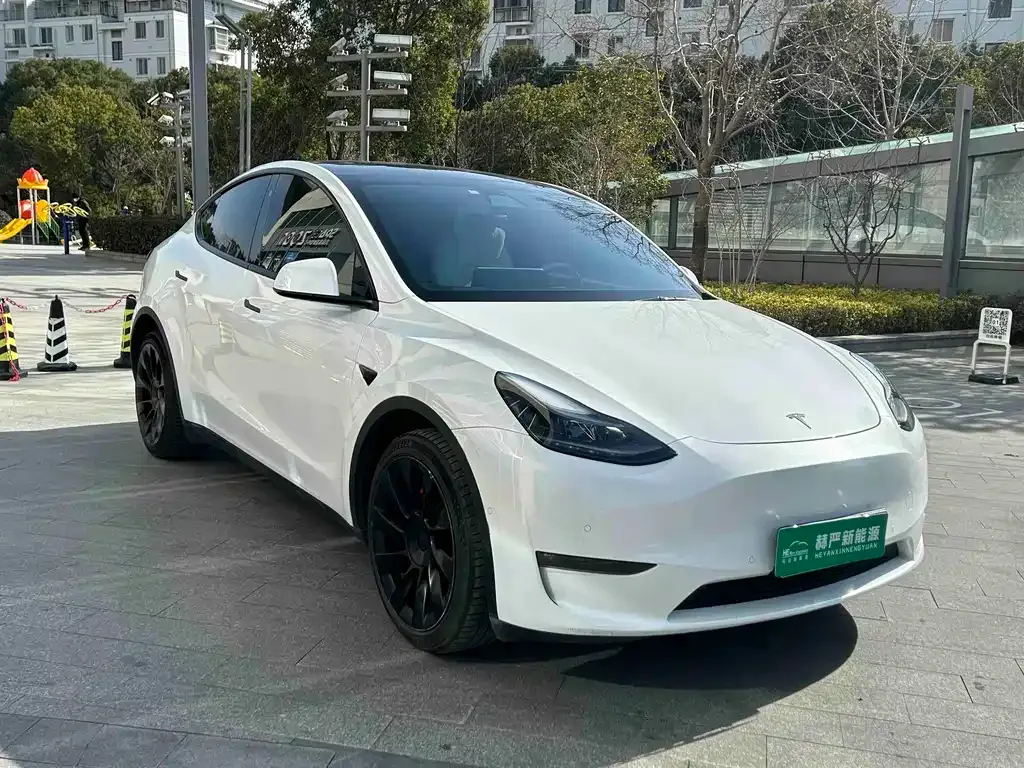 Tesla Model Y 2021 из CN, фото 1