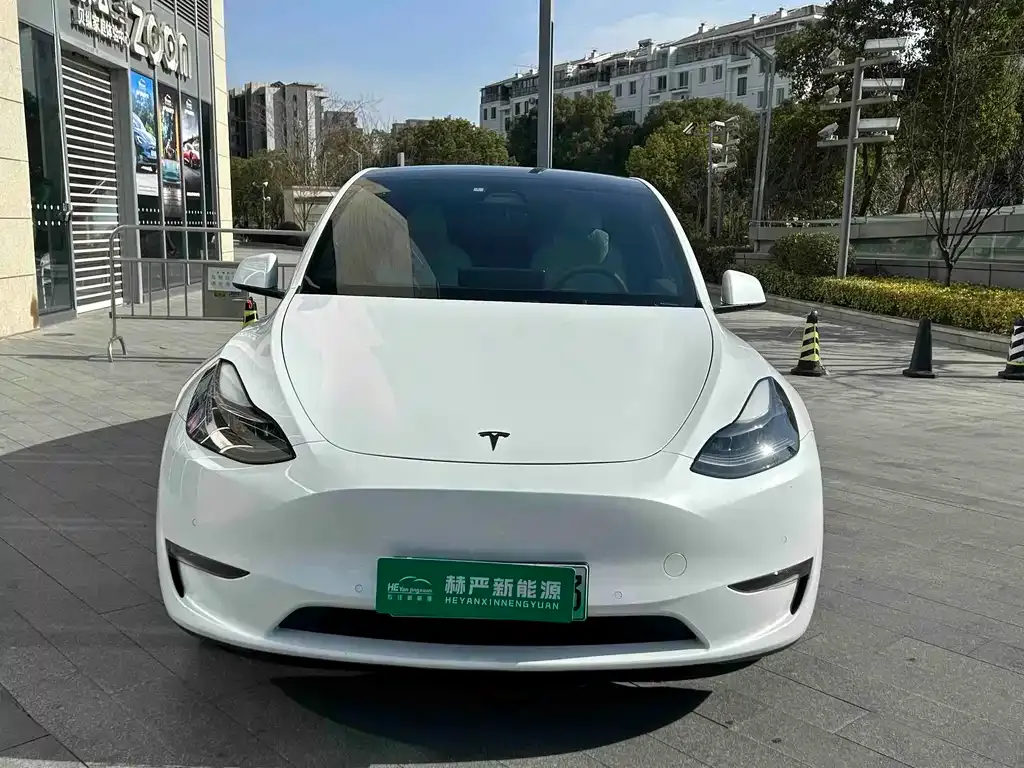 Tesla Model Y 2021 из CN, фото 2