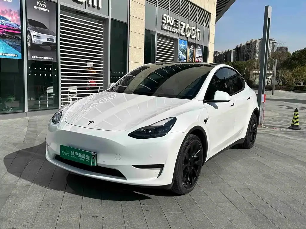 Tesla Model Y 2021 из CN, фото 3