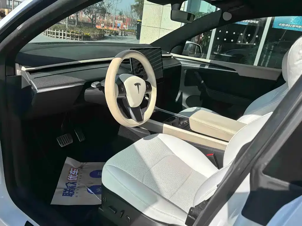 Tesla Model Y 2021 из CN, фото 8