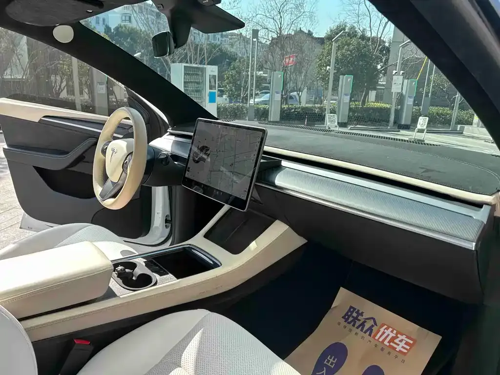 Tesla Model Y 2021 из CN, фото 9