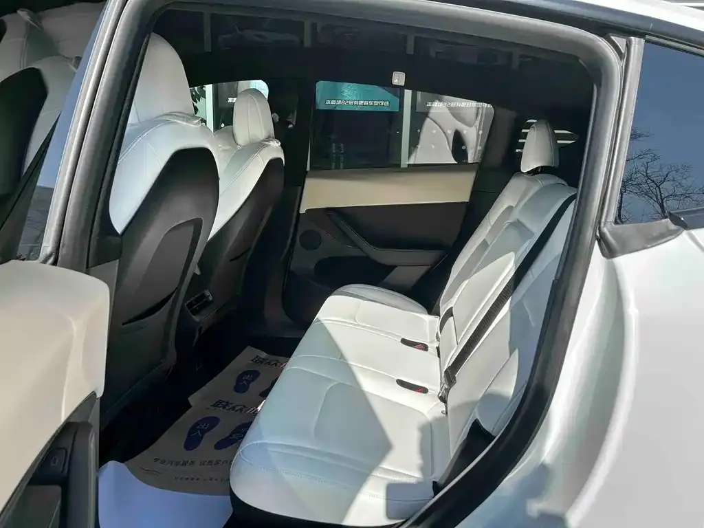 Tesla Model Y 2021 из CN, фото 5