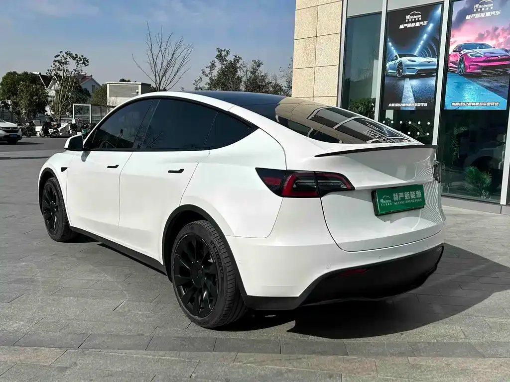 Tesla Model Y 2021 из CN, фото 6