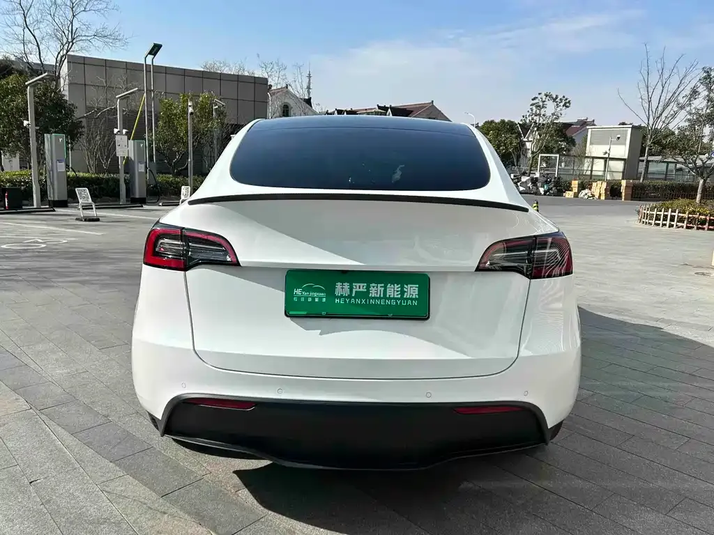Tesla Model Y 2021 из CN, фото 4