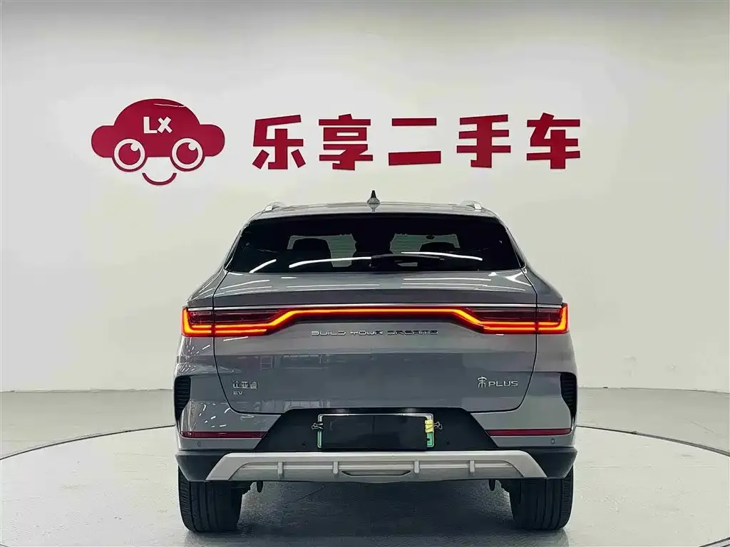 BYD PLUS New Energy 2022 из CN, фото 2