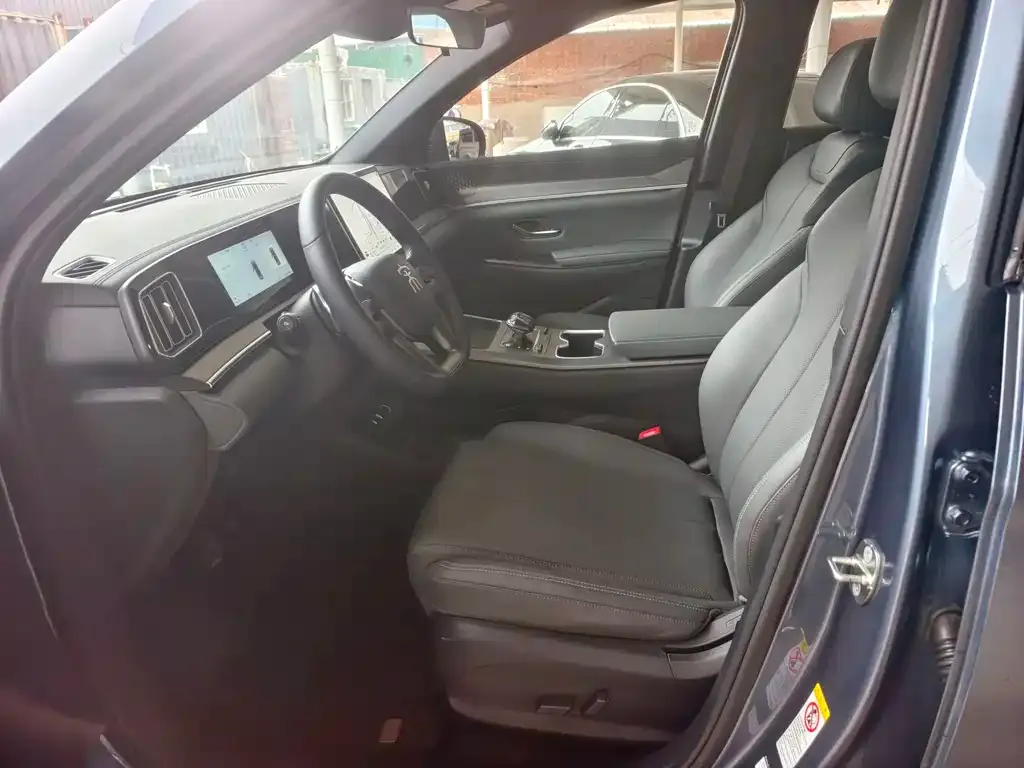 BYD Pro New Energy 2025 из CN, фото 4
