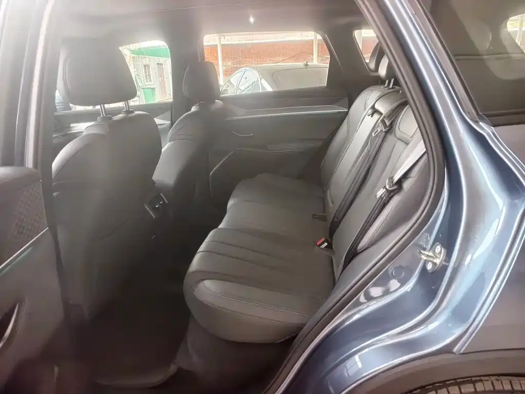 BYD Pro New Energy 2025 из CN, фото 6