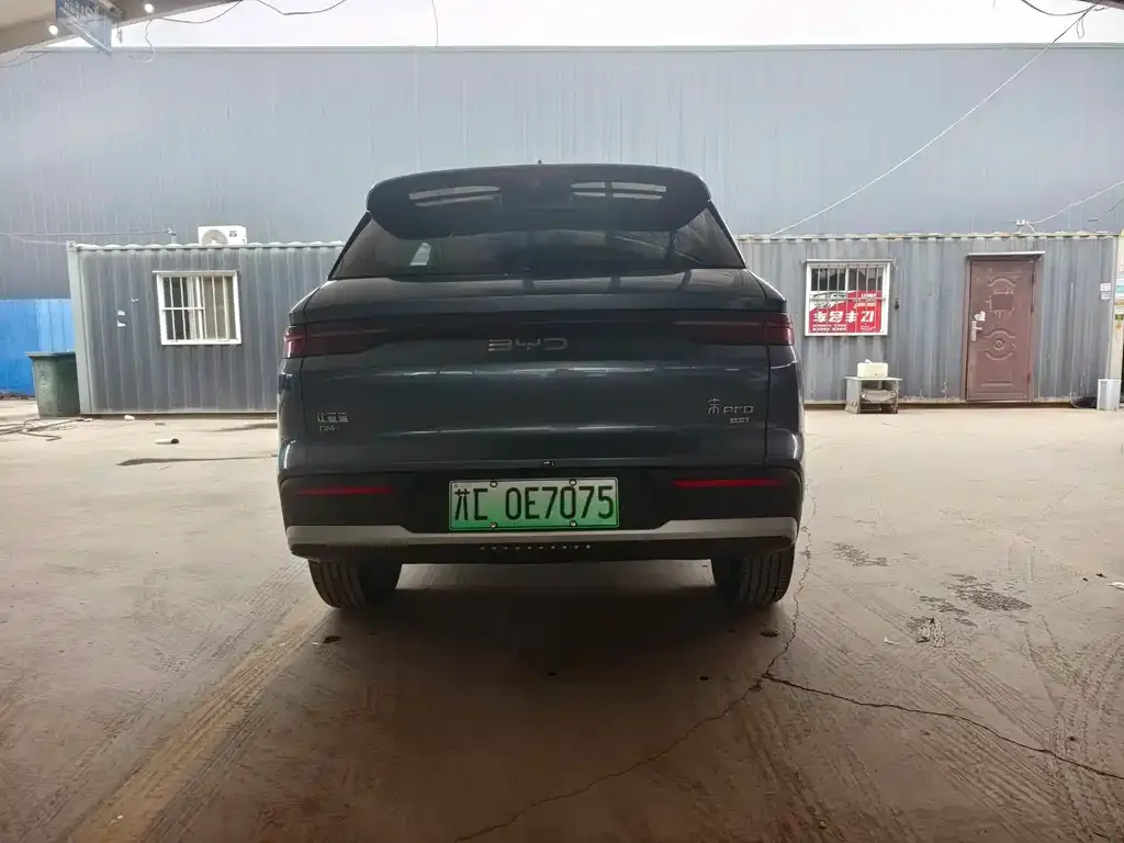 BYD Pro New Energy 2025 из CN, фото 5