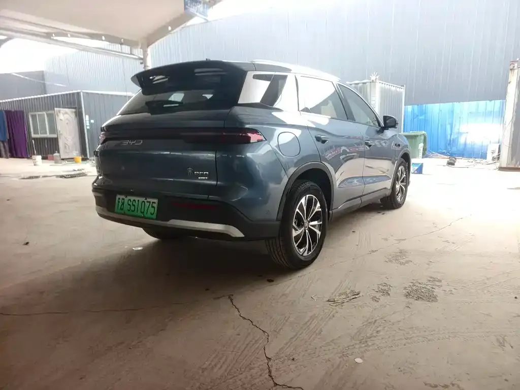 BYD Pro New Energy 2025 из CN, фото 9