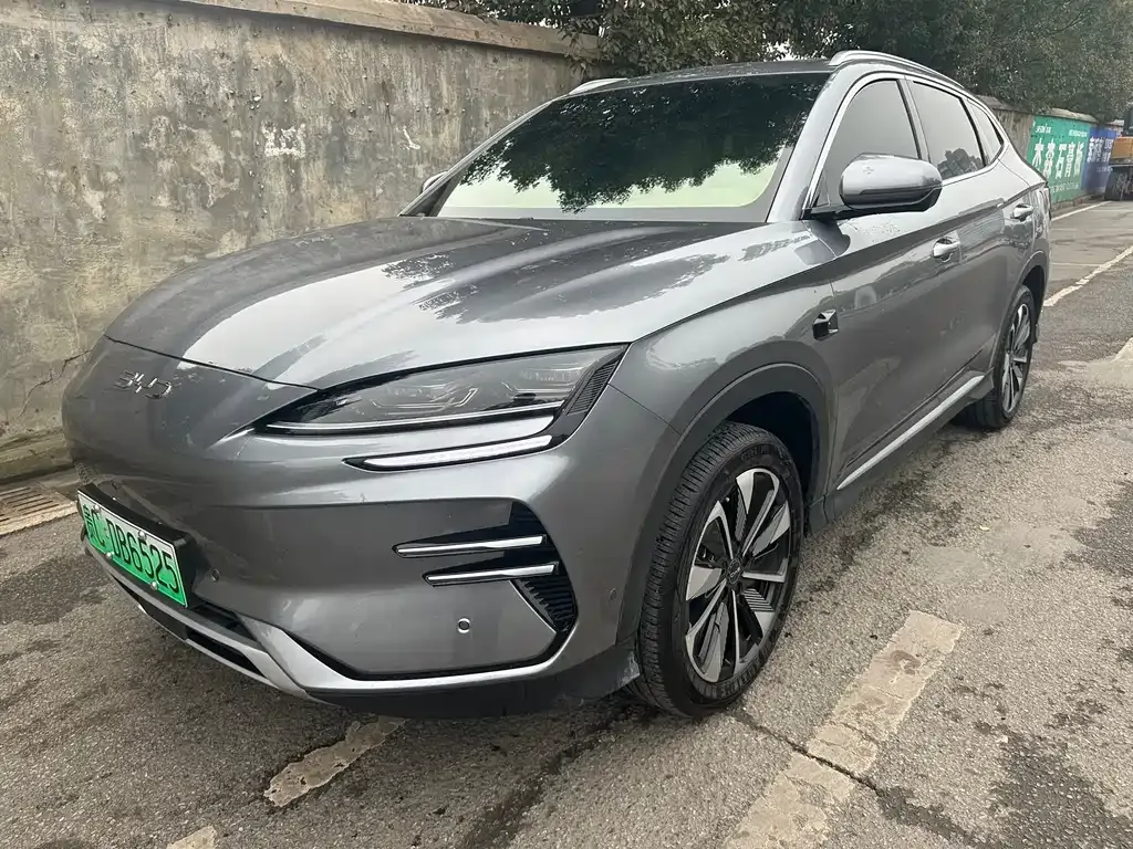 BYD PLUS New Energy 2025 из CN, фото 1