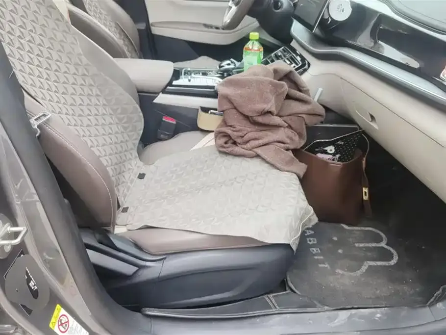 BYD Qin PLUS 2024 из CN, фото 9